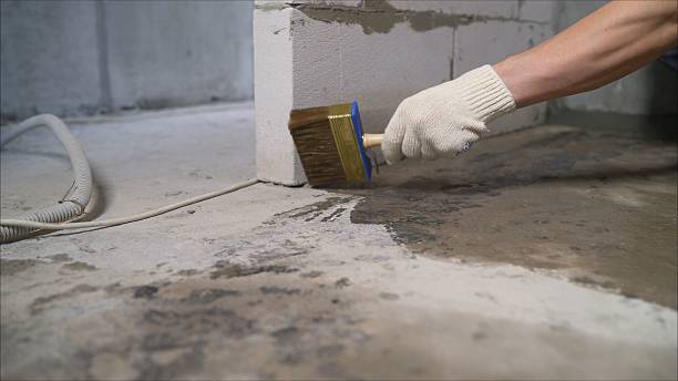24/7 Emergency Crawl Space Encapsulation experts in Alexandria, MN